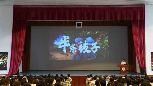 动画与传媒学院实况8对战平台现场1.jpg